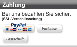 Zahlungsarten: PayPal Lastschrift Vorkasse